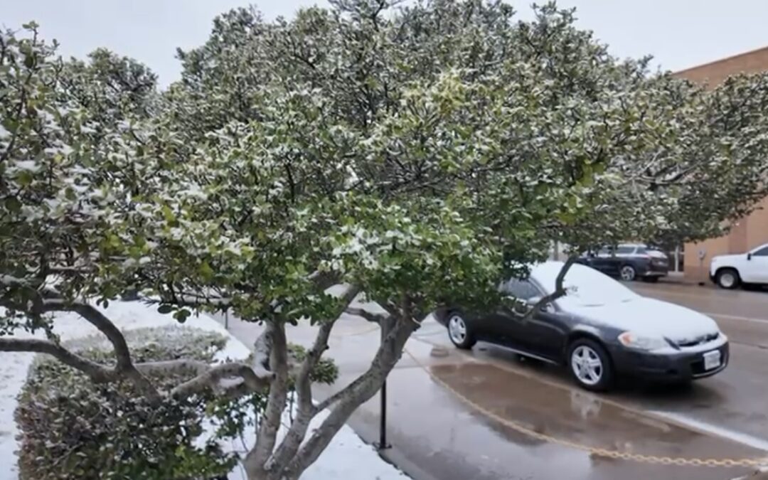 Nieve en el Permian Basin: Autoridades Piden Precauciones en Condiciones Invernales
