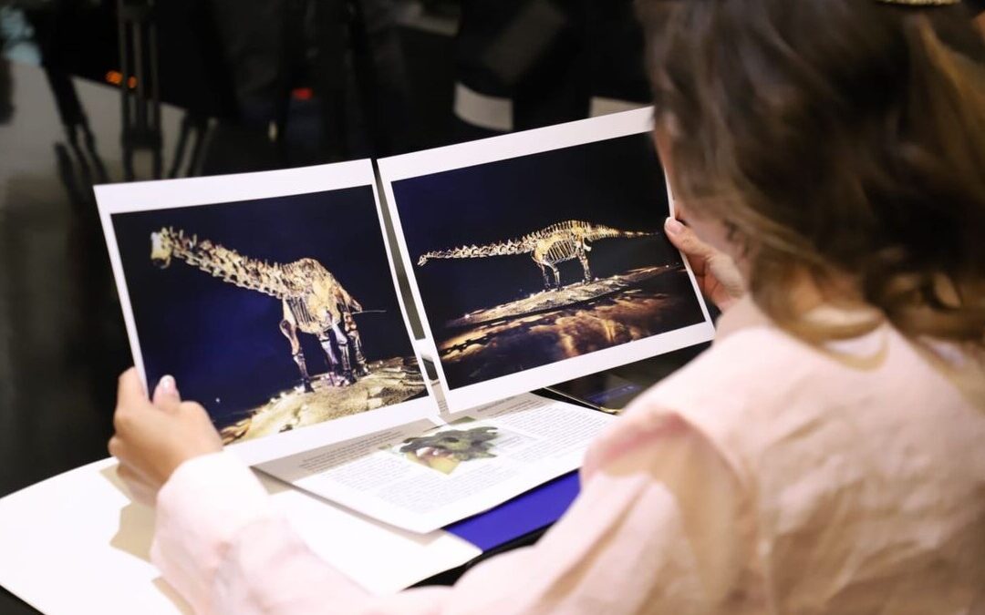 El Fósil ‘Einstein’ es Prestado, No Donado, Confirma San Pedro Garza García