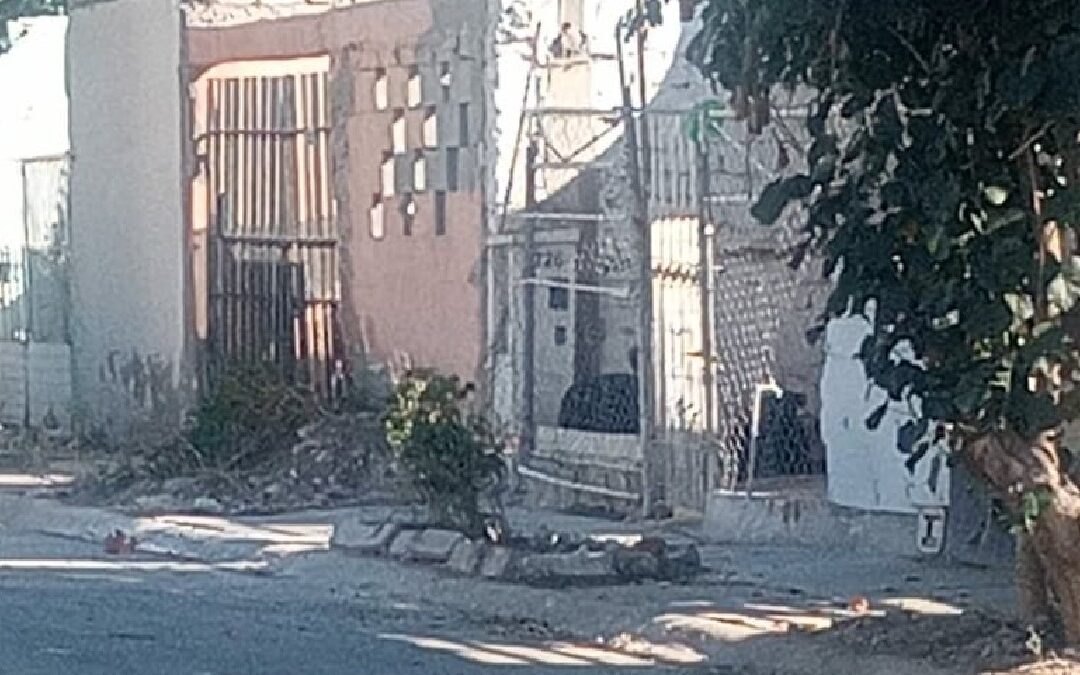 Foco de Peligro en Quintas los Nogales: Perros Agresivos y Abandono de Espacios Públicos en Torreón