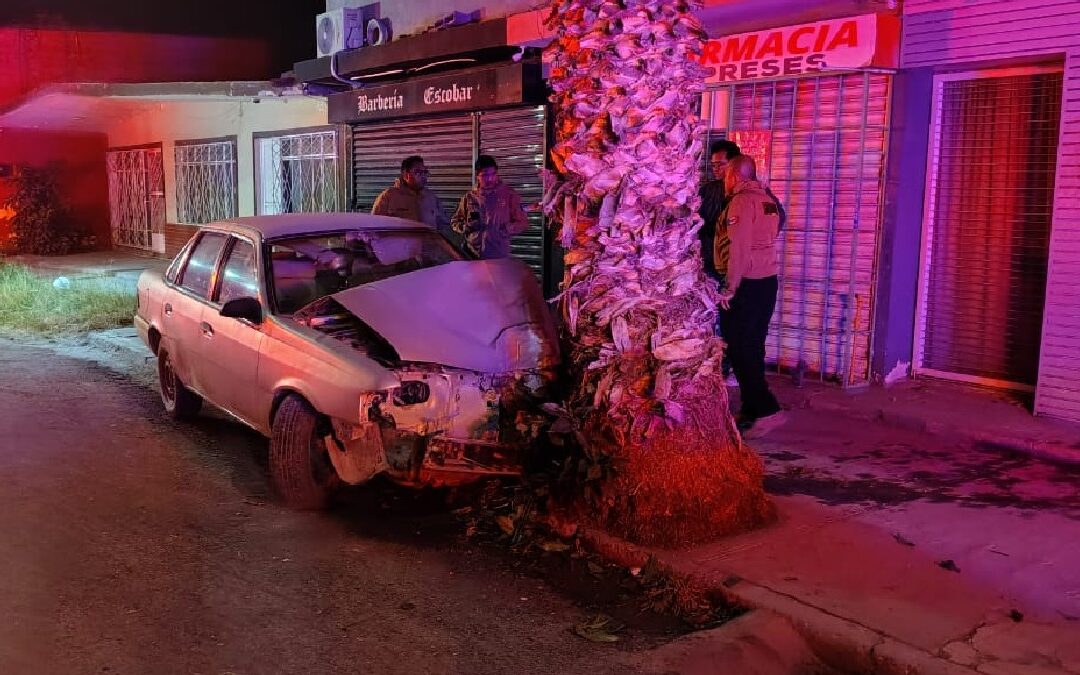 Accidente Automovilístico en Torreón: Menores de Edad Estrellan Auto Contra Palma y Resultan con Fracturas