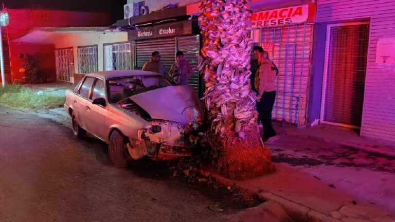 Accidente Automovilístico en Torreón: Menores de Edad Estrellan Auto Contra Palma y Resultan con Fracturas
