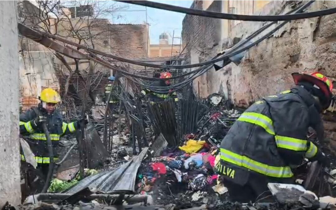 Incendio en Tonalá: Casa destruida y tres perritos pierden la vida