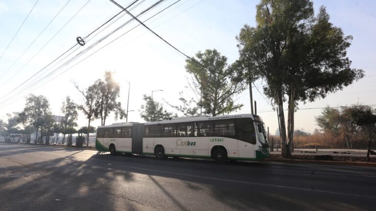 Retrasos en el Transporte Público de León: Hasta 30 Minutos este 1 de Enero de 2026