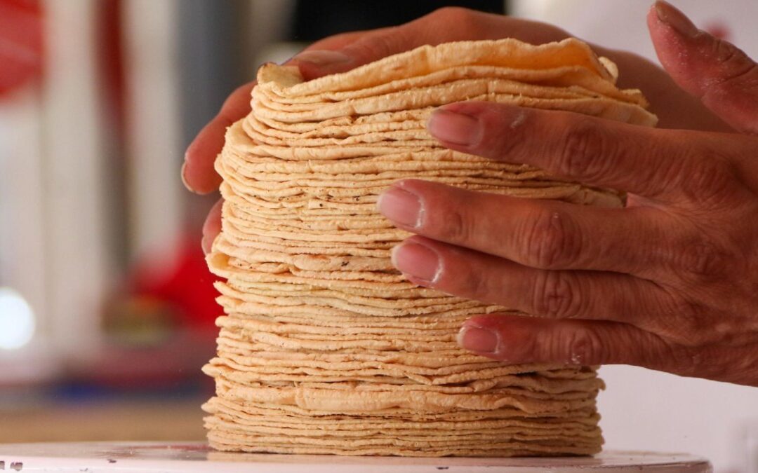 Precios de Tortilla y Gasolina en Puebla: Impacto y Expectativas para 2026