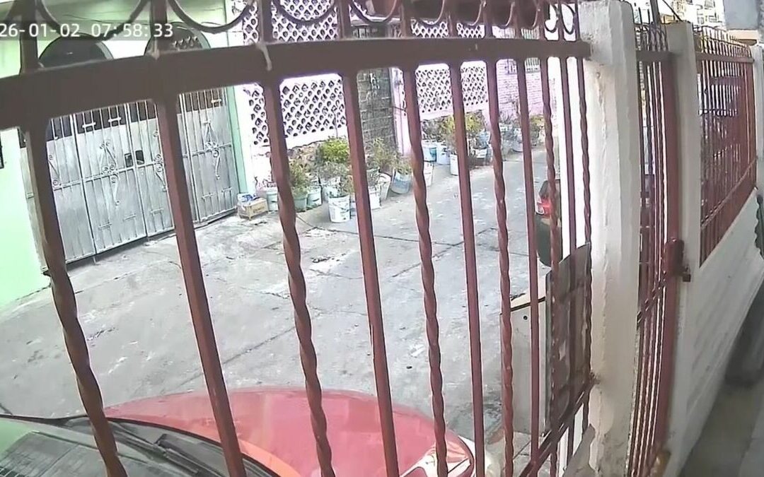 Impactantes Reacciones en Redes Sociales Tras el Sismo en San Marcos, Guerrero y la Ciudad de México