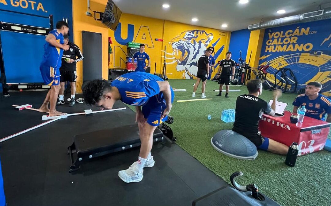 Bajas en Tigres: Conoce a los Jugadores que No Continuarán con Guido Pizarro para 2026