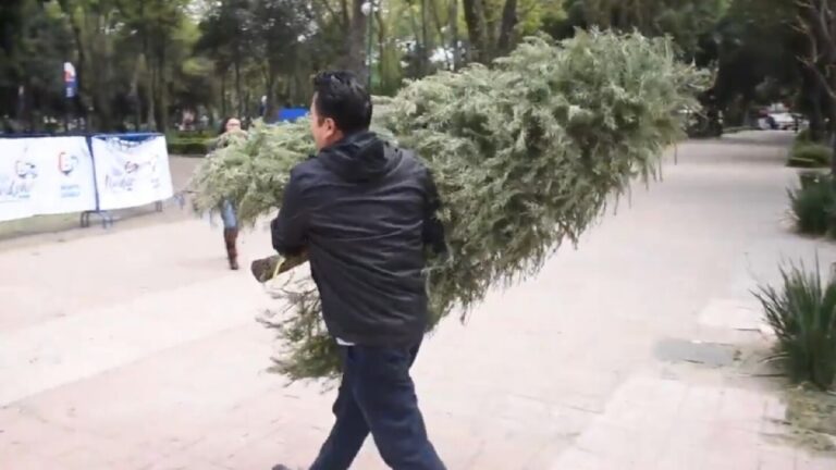 Reciclaje de Árboles de Navidad en Zapopan: Centros Sostenibles para 2023