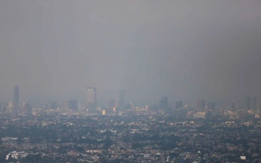 Doble Hoy No Circula Activo este Viernes 9 de Enero para Combatir la Contaminación