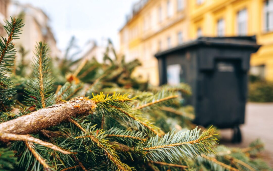 Últimos días para desechar su árbol navideño en Centro, CA sin costo