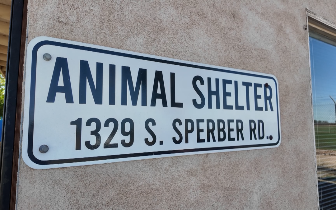 Control Animal en el Condado de Imperial se cerrará temporalmente el 23 de enero