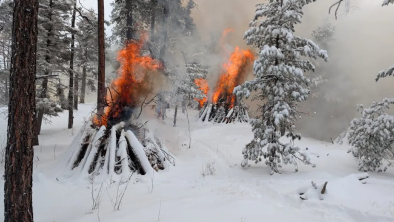 Prevención de Incendios: Bosque Nacional de Santa Fe Realiza Quemaduras Controladas