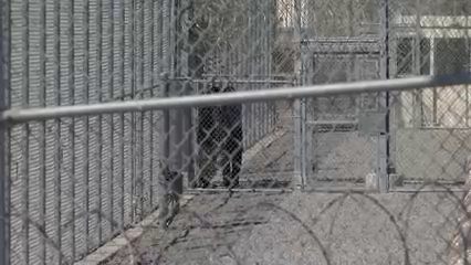 Inspección del Condado Revela Problemas en el Centro de Detención de Otay Mesa