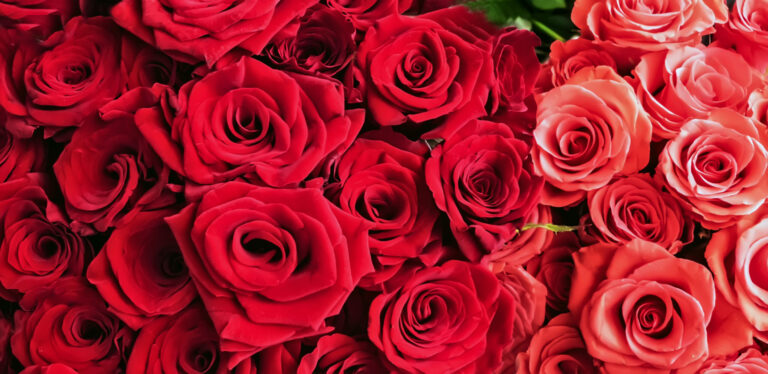 San Diego, el segundo mejor destino en EE. UU. para celebrar el Día de San Valentín